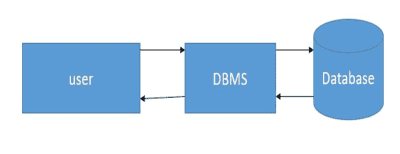 dbms