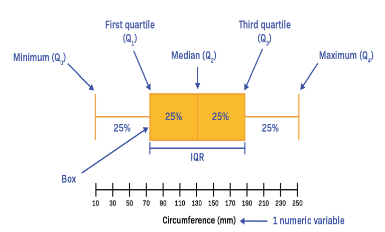 box plot