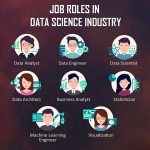 data science career